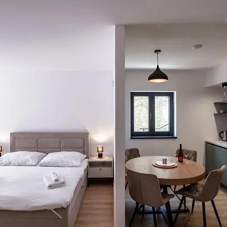 Cherry 公寓 罗戈兹尼察